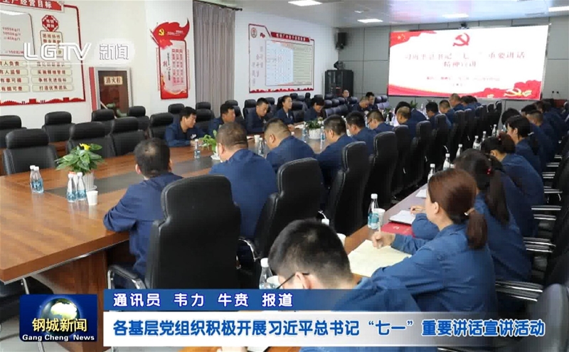 公司团委进修贯彻习近平总布告“七一“主要